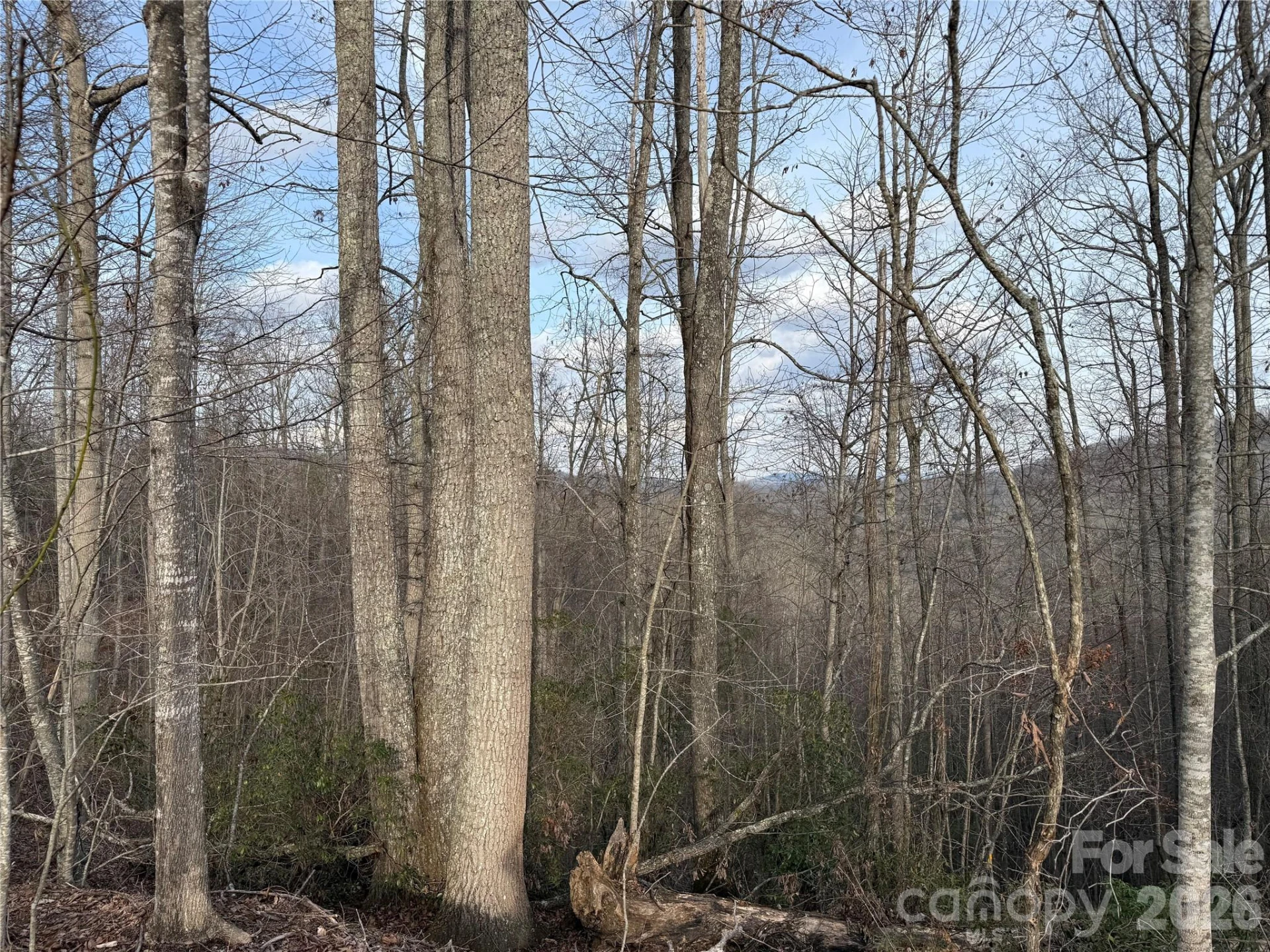 0 White Fawn Drive - Photo 3