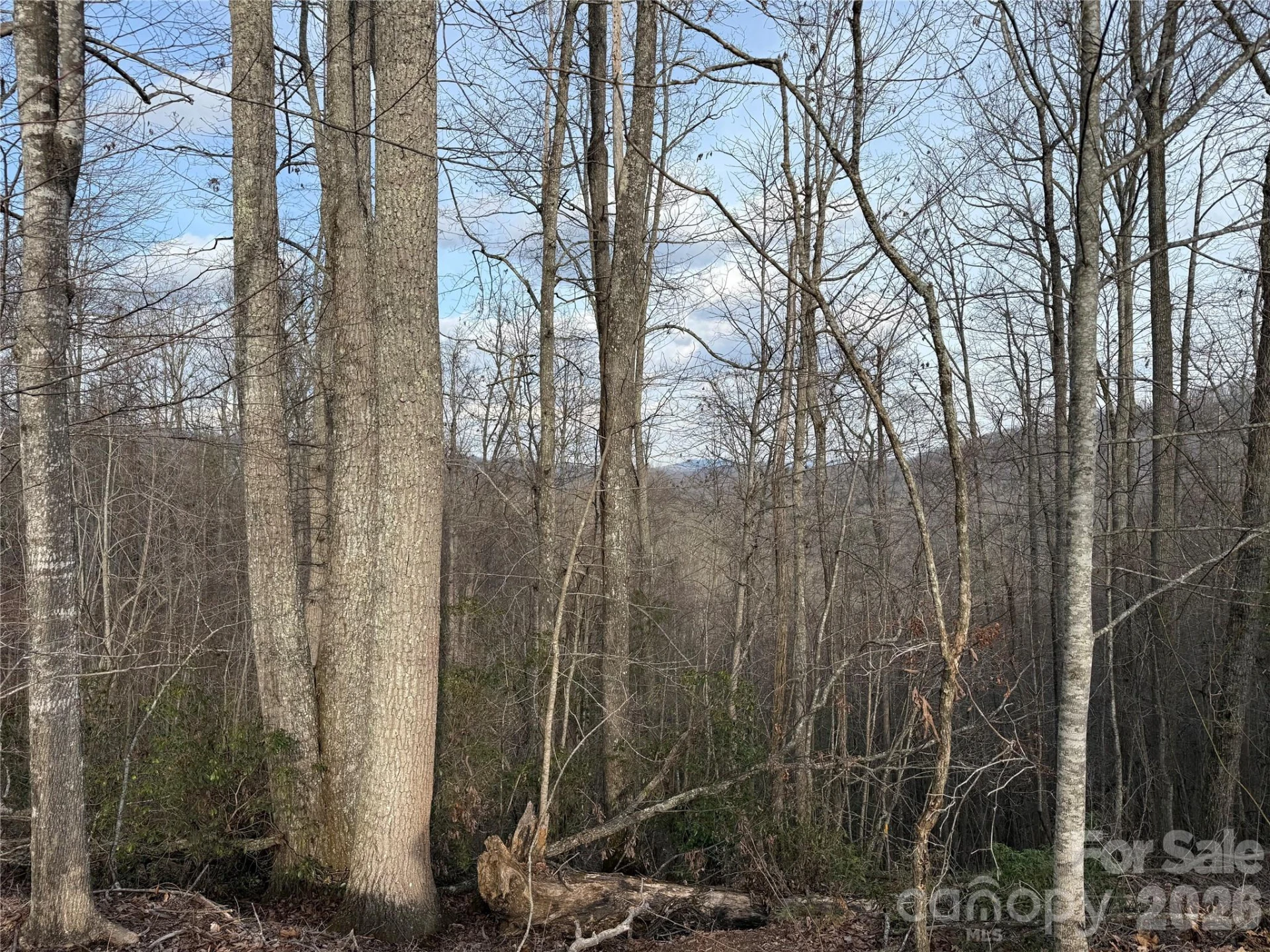 0 White Fawn Drive - Photo 4