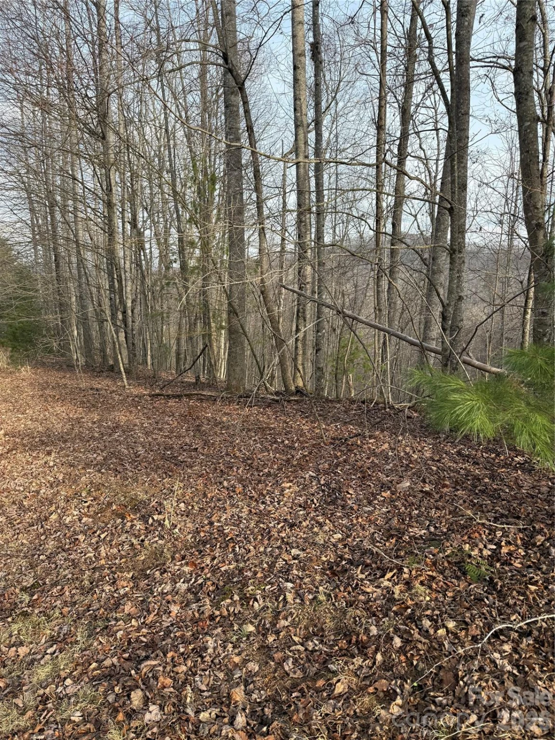 0 White Fawn Drive - Photo 5