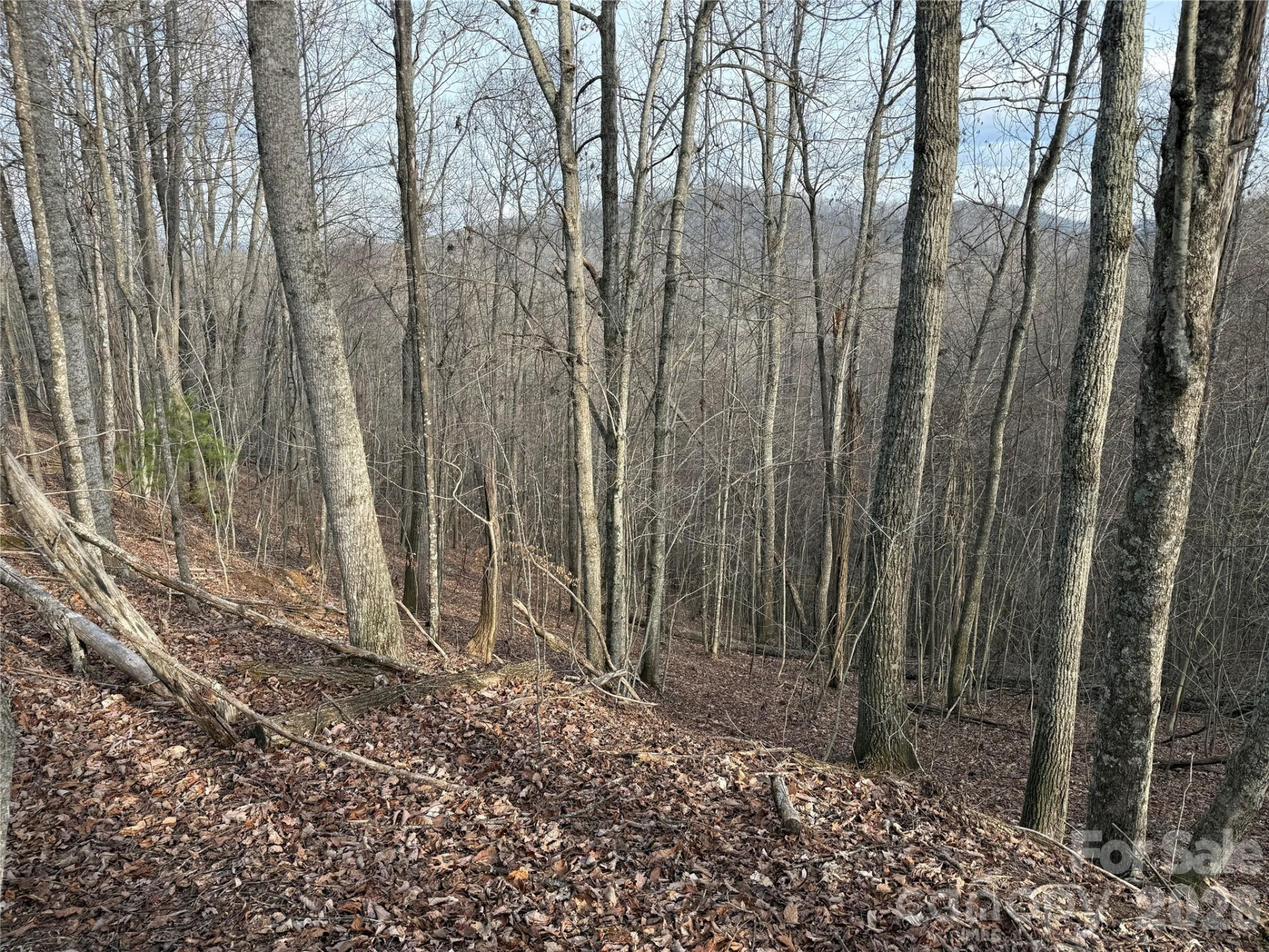 0 White Fawn Drive - Photo 6