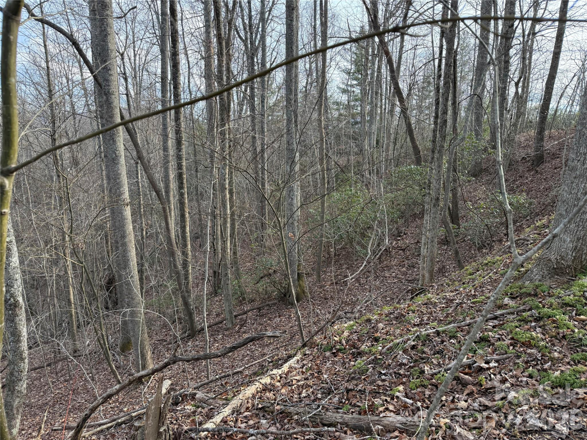 0 White Fawn Drive - Photo 7