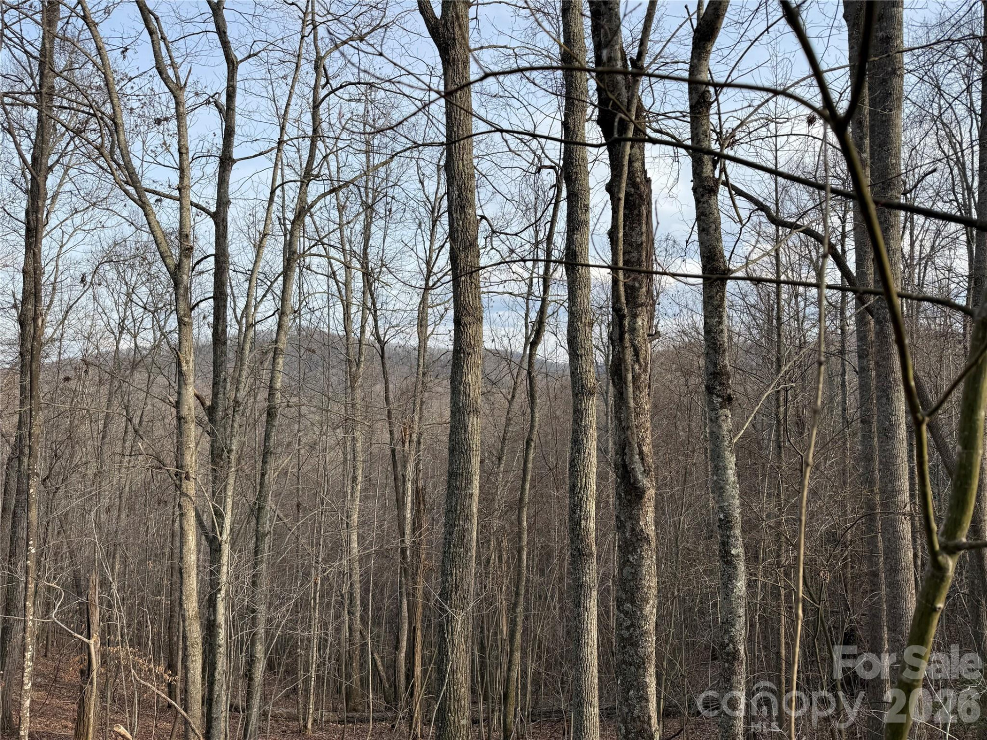0 White Fawn Drive - Photo 8