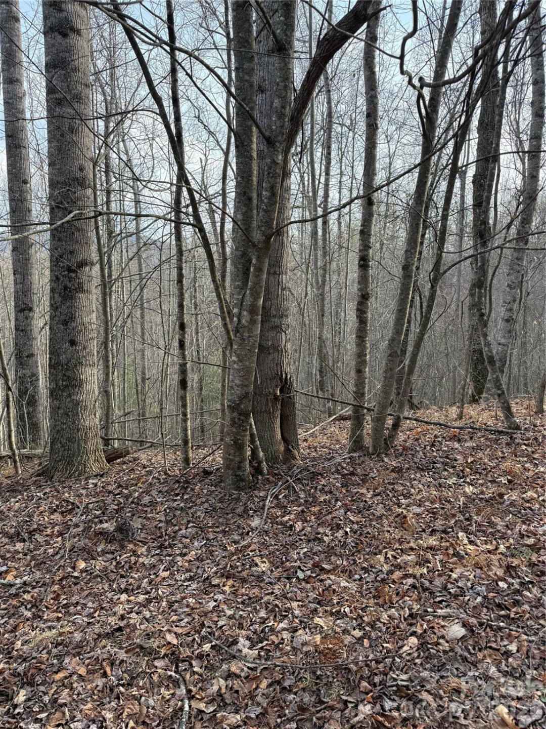 0 White Fawn Drive - Photo 9