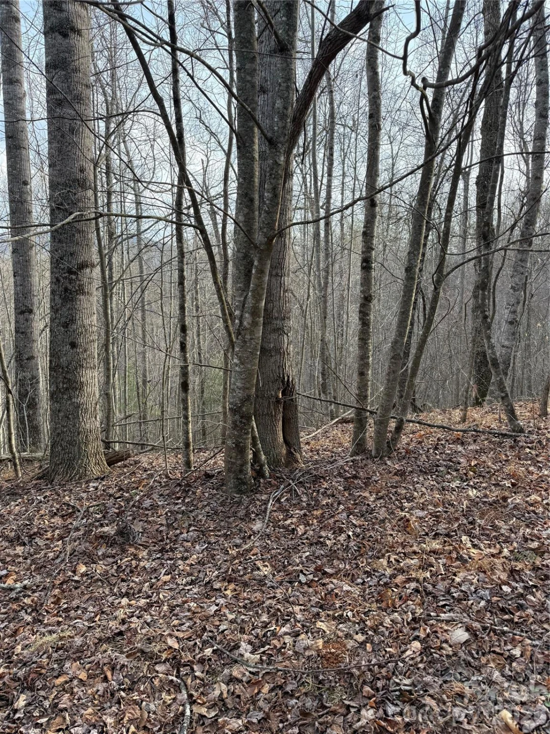 0 White Fawn Drive - Photo 9