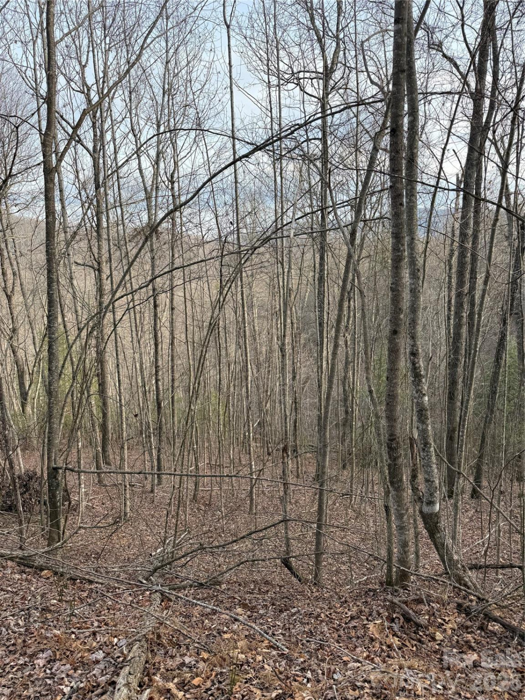 0 White Fawn Drive - Photo 10