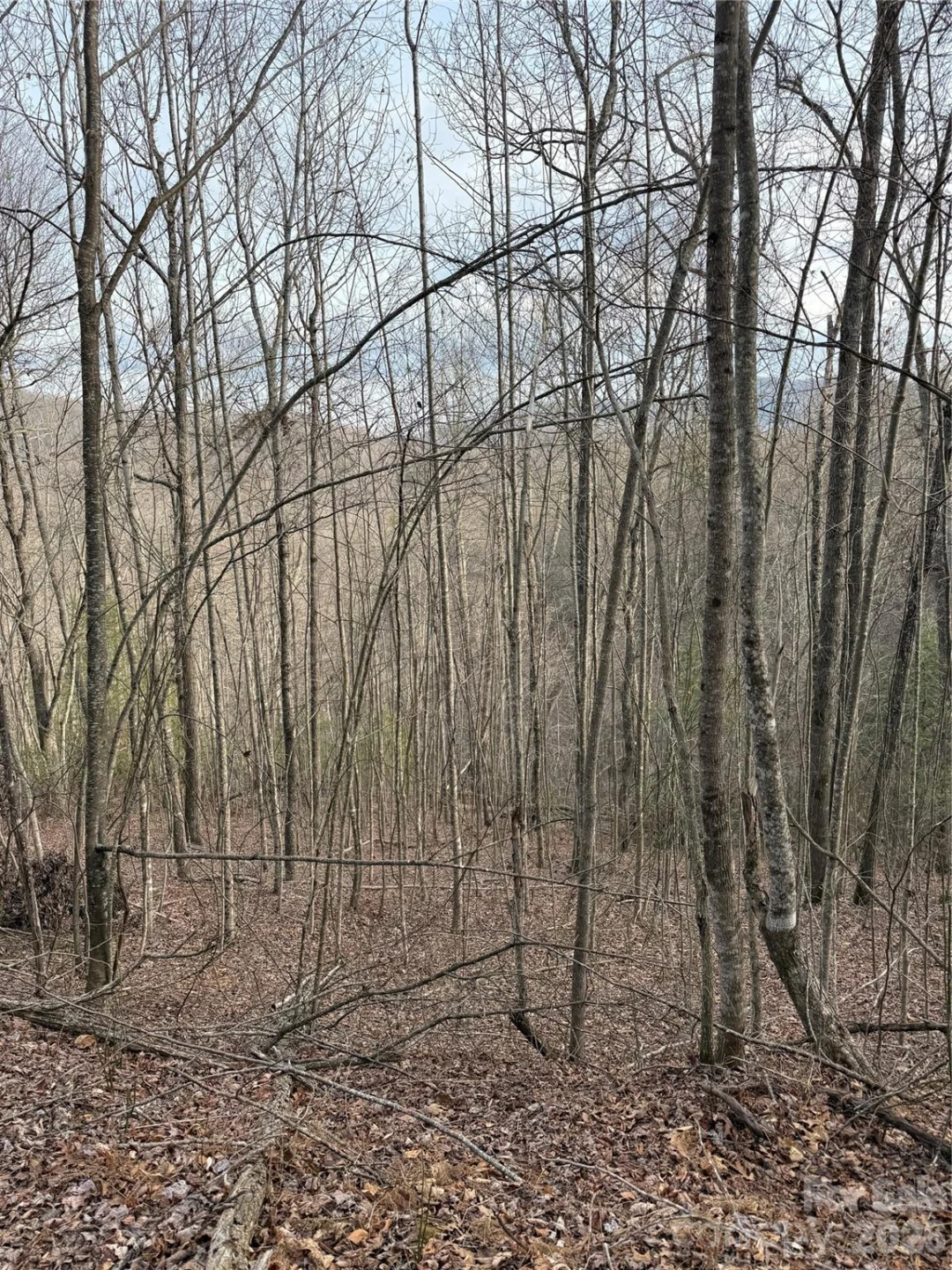 0 White Fawn Drive - Photo 10