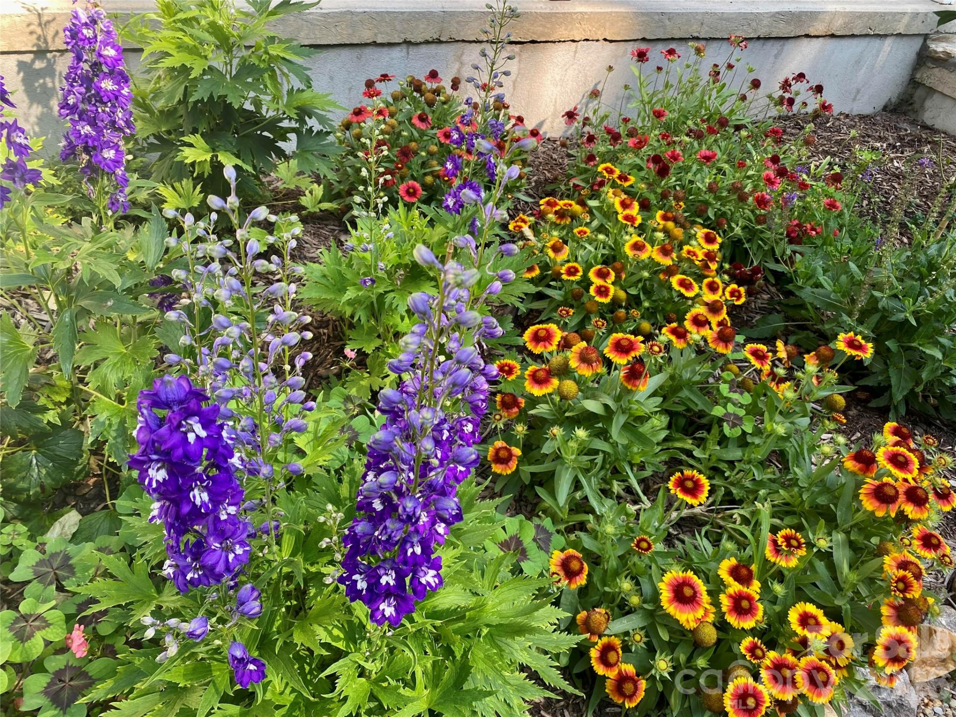 109 Paradise Circle - Photo 37