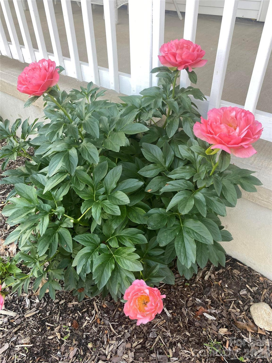 109 Paradise Circle - Photo 40