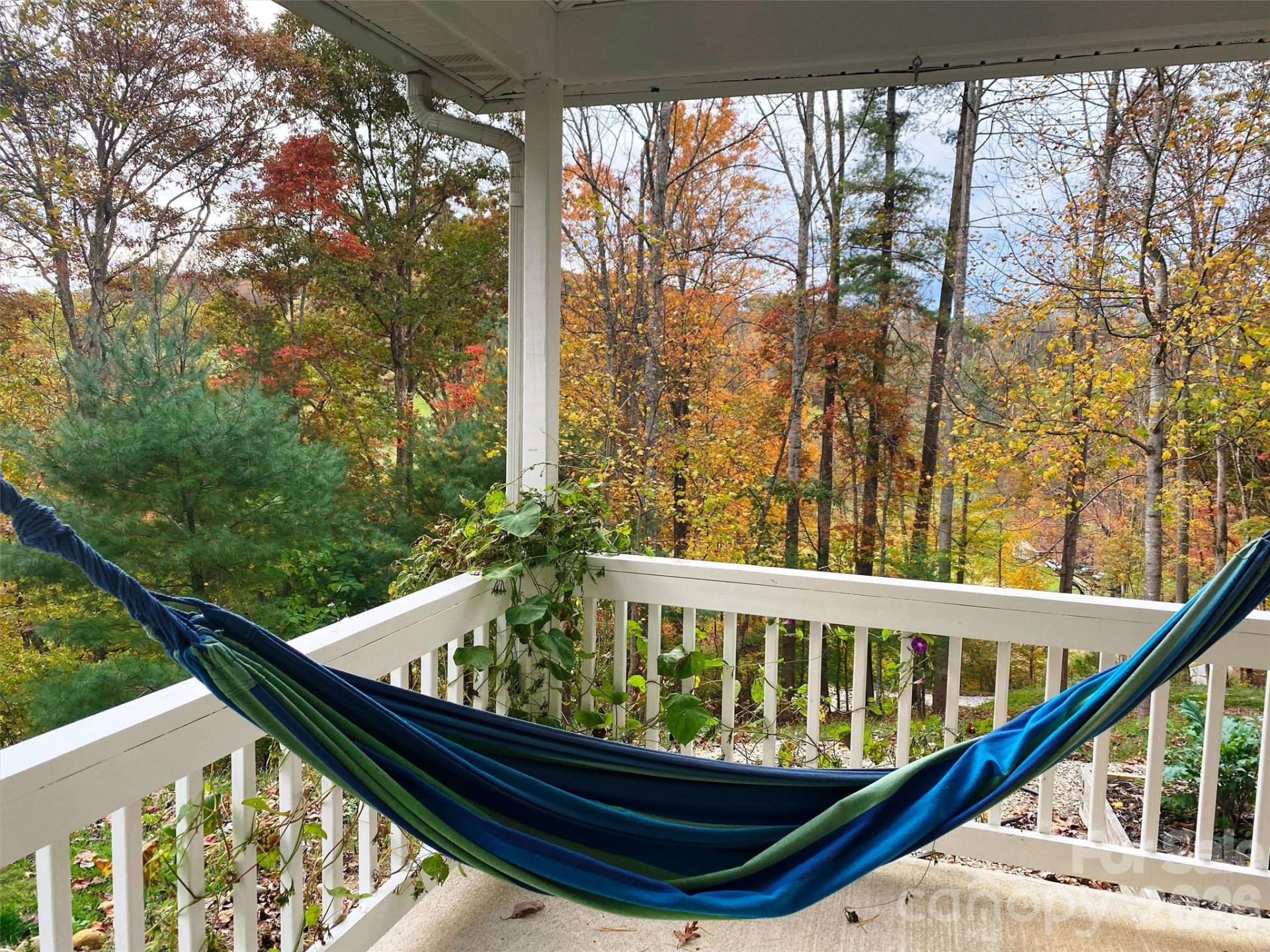 109 Paradise Circle - Photo 6