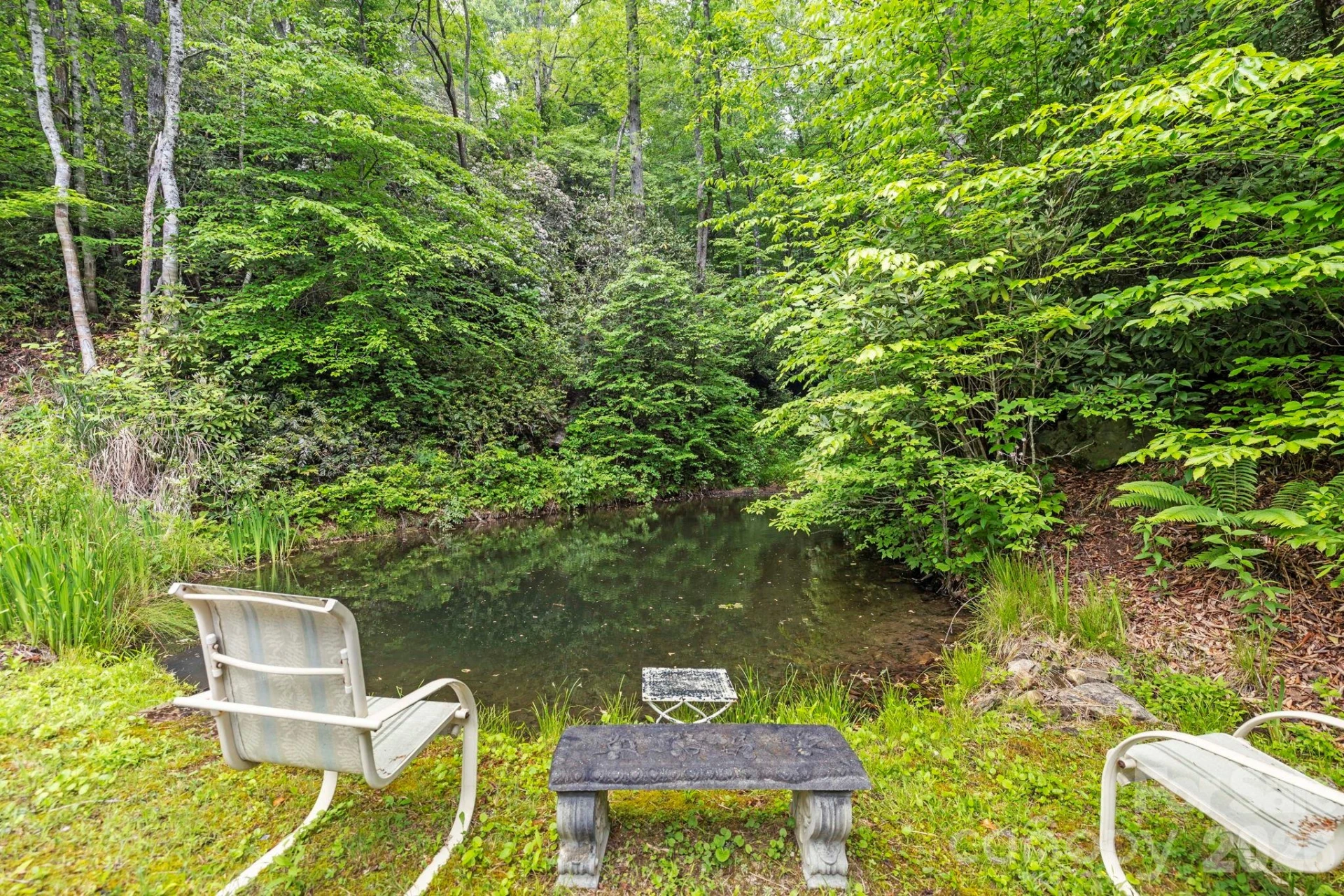 3739 Pickens Highway - Photo 23