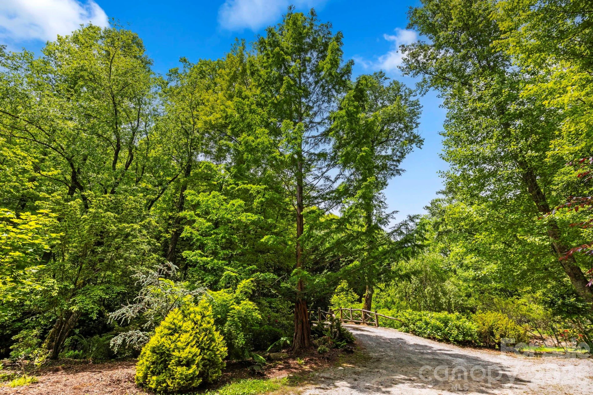 3739 Pickens Highway - Photo 28