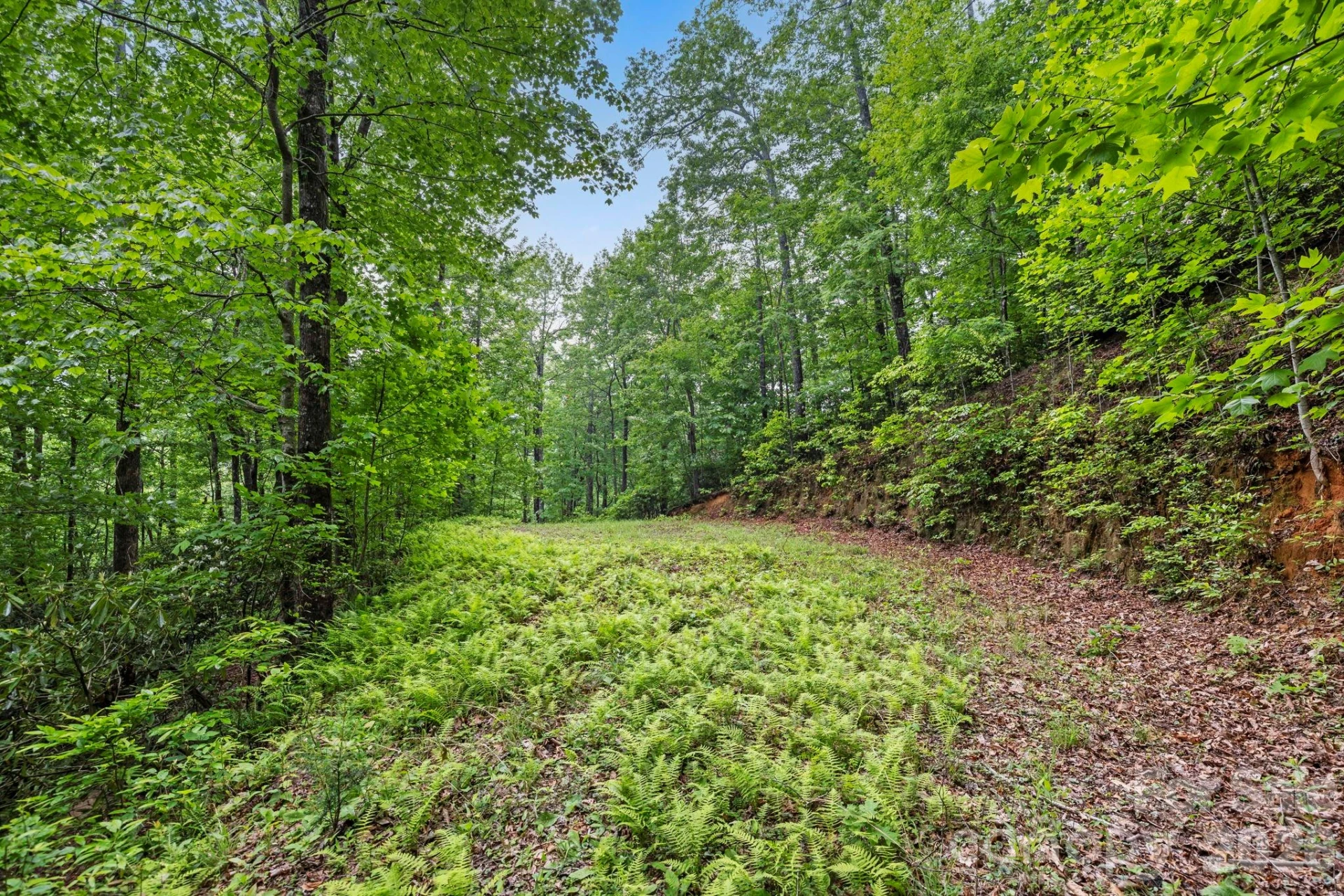 3739 Pickens Highway - Photo 45