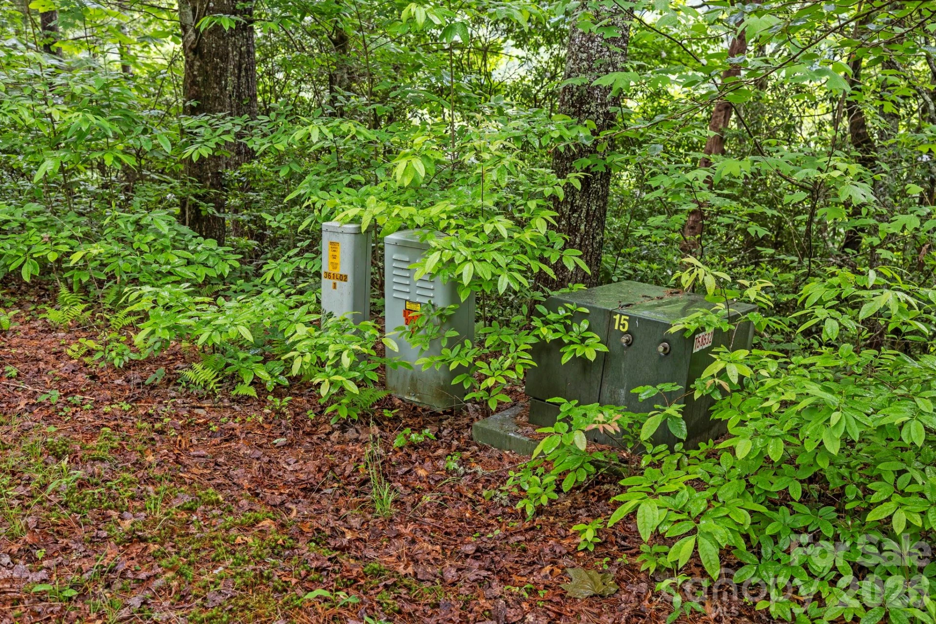 3739 Pickens Highway - Photo 46