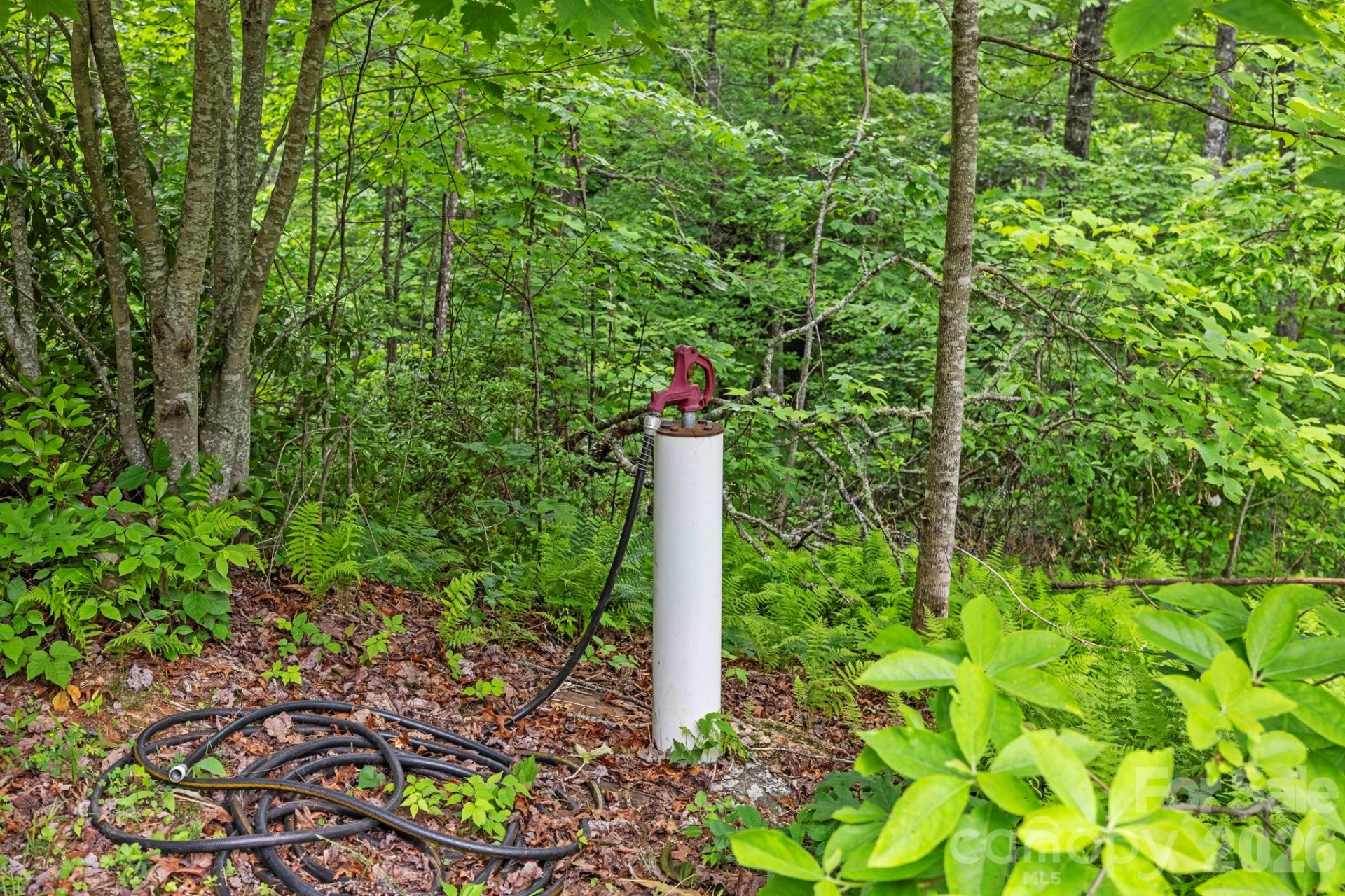 3739 Pickens Highway - Photo 47