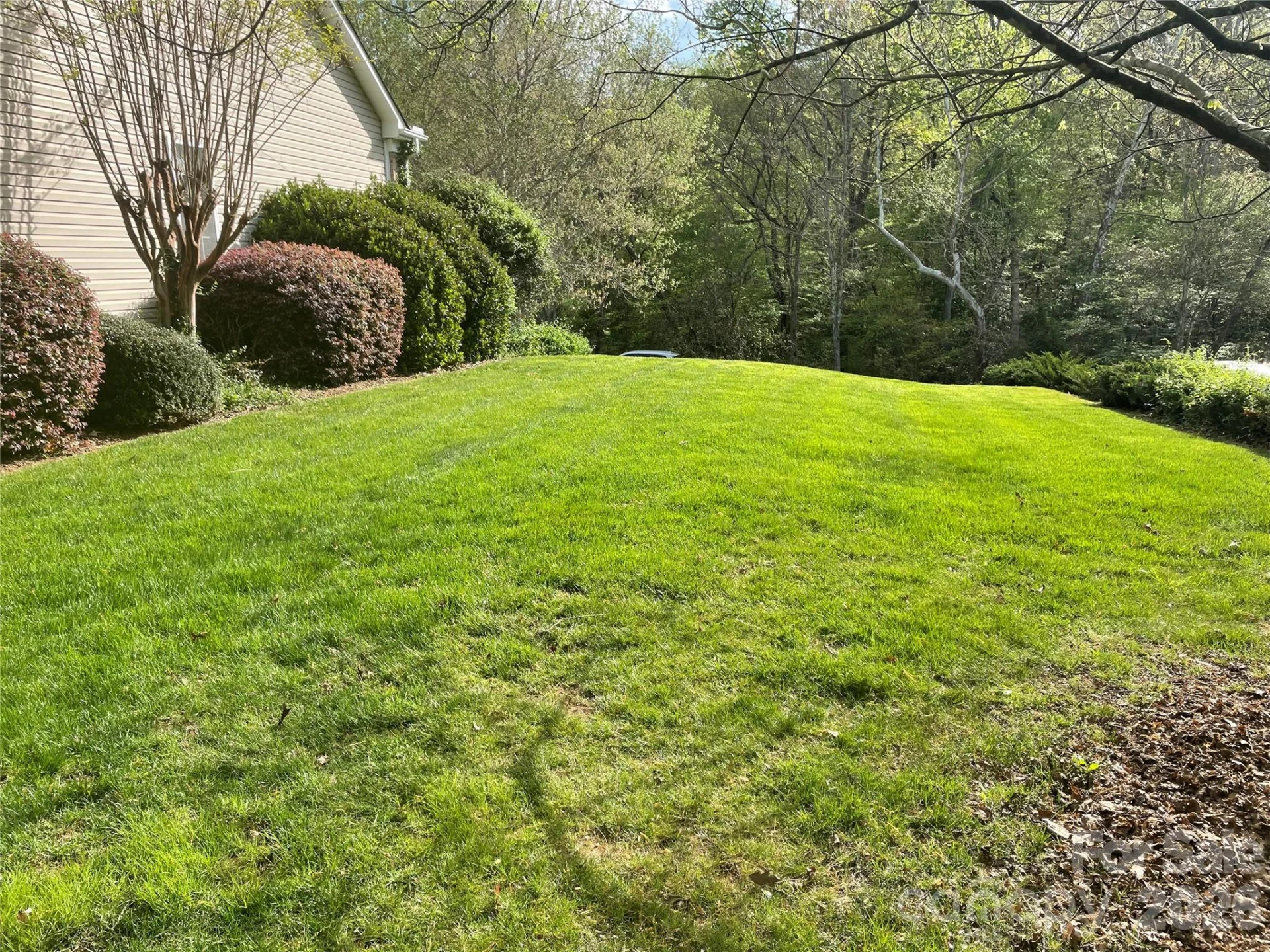 7125 Sedgebrook Drive - Photo 39