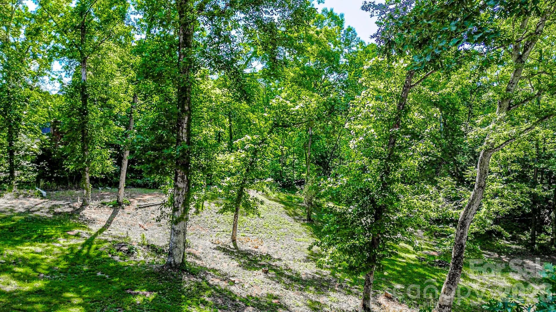 142 Padgett-Burns Road - Photo 40
