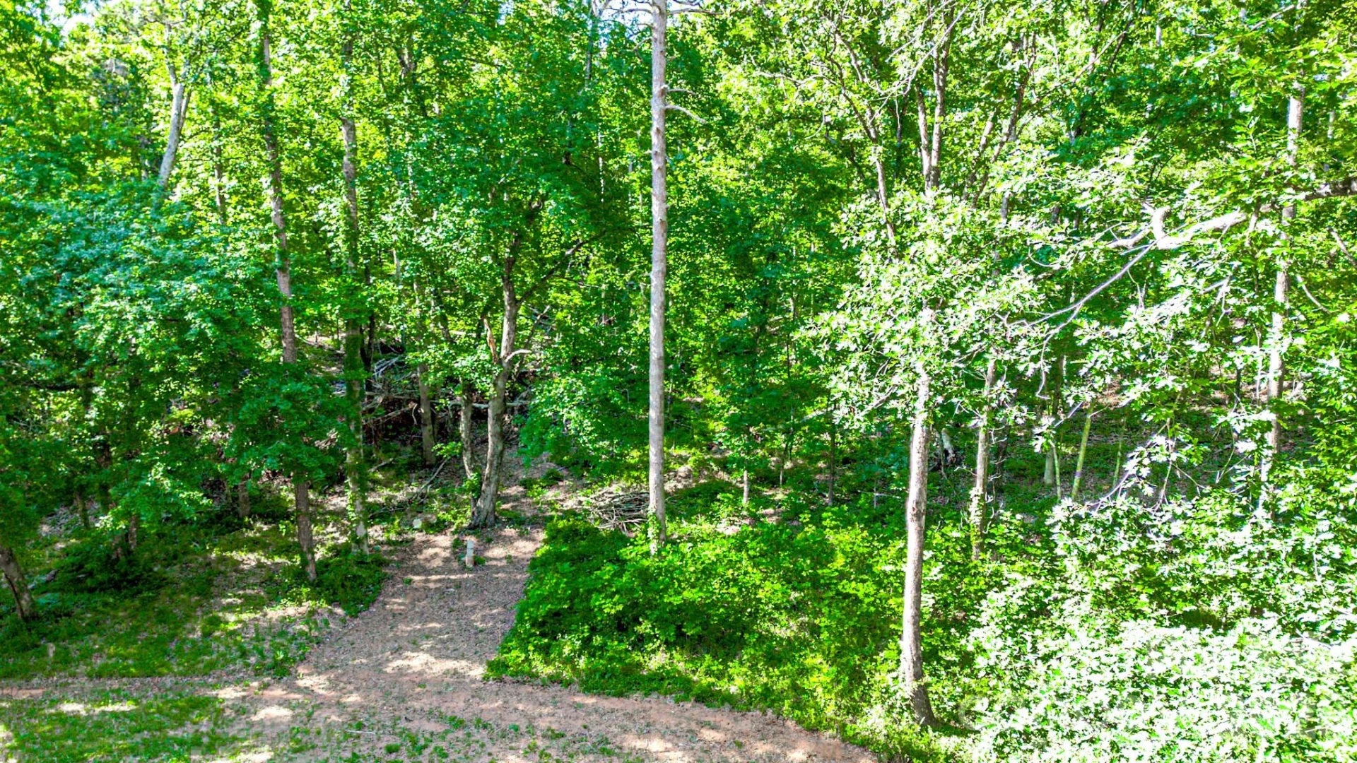 142 Padgett-Burns Road - Photo 43