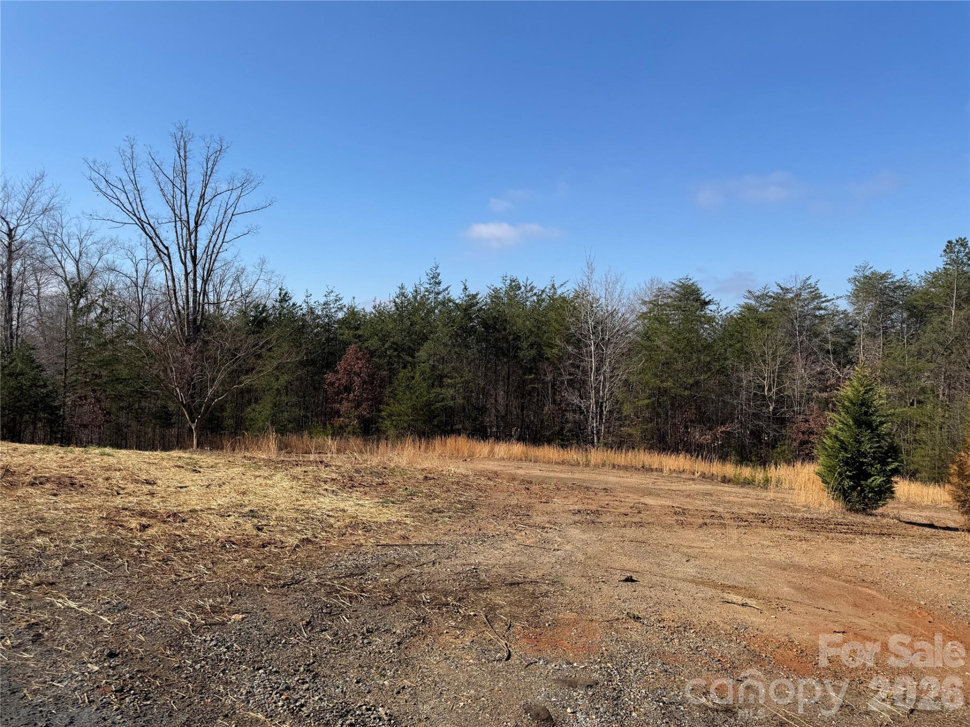 190 Noahs World Lane - Photo 2