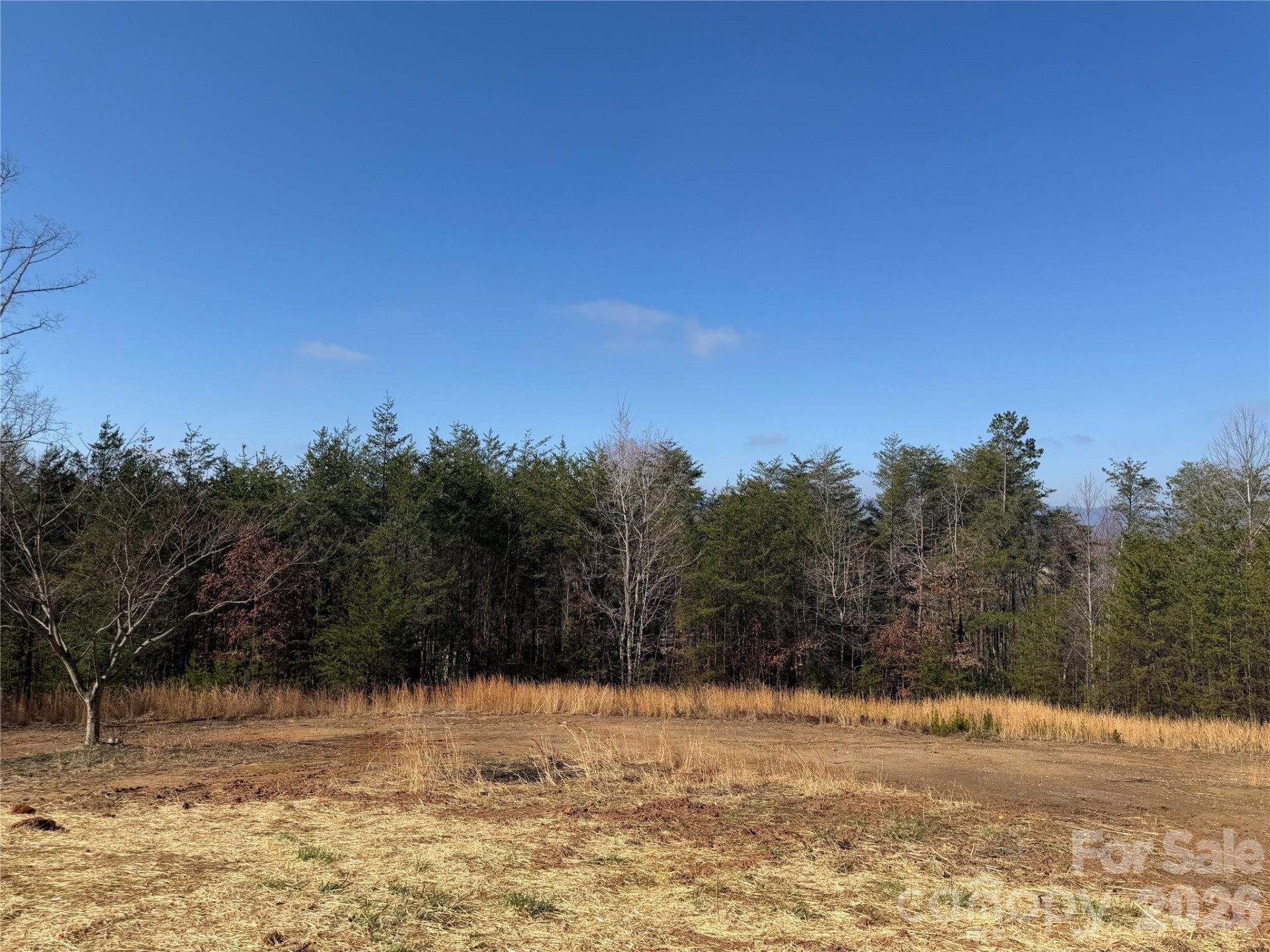 190 Noahs World Lane - Photo 4