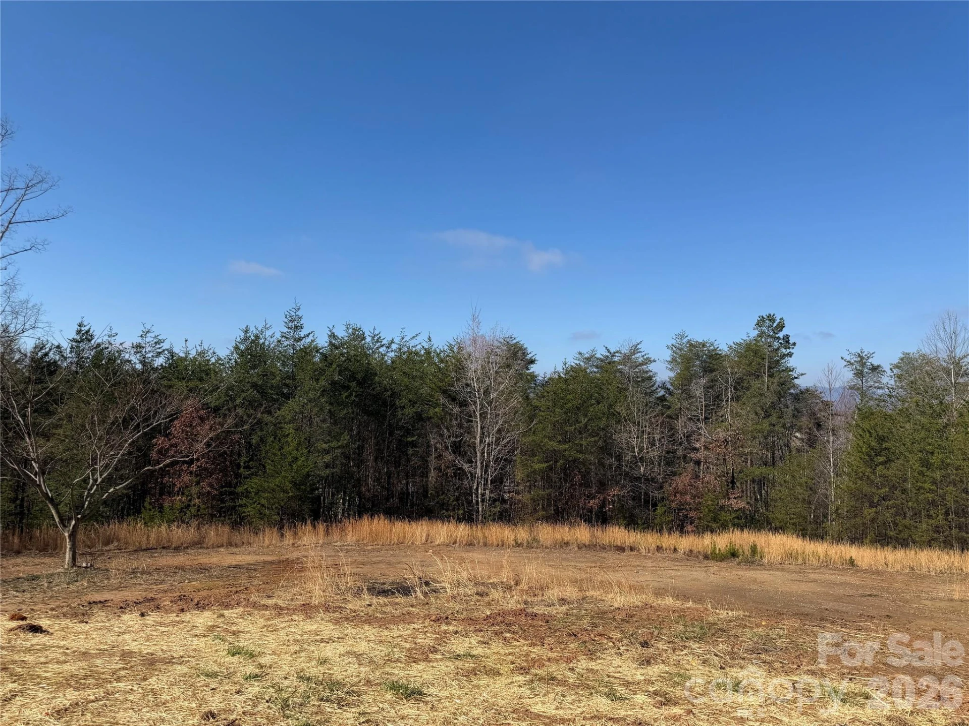 190 Noahs World Lane - Photo 4