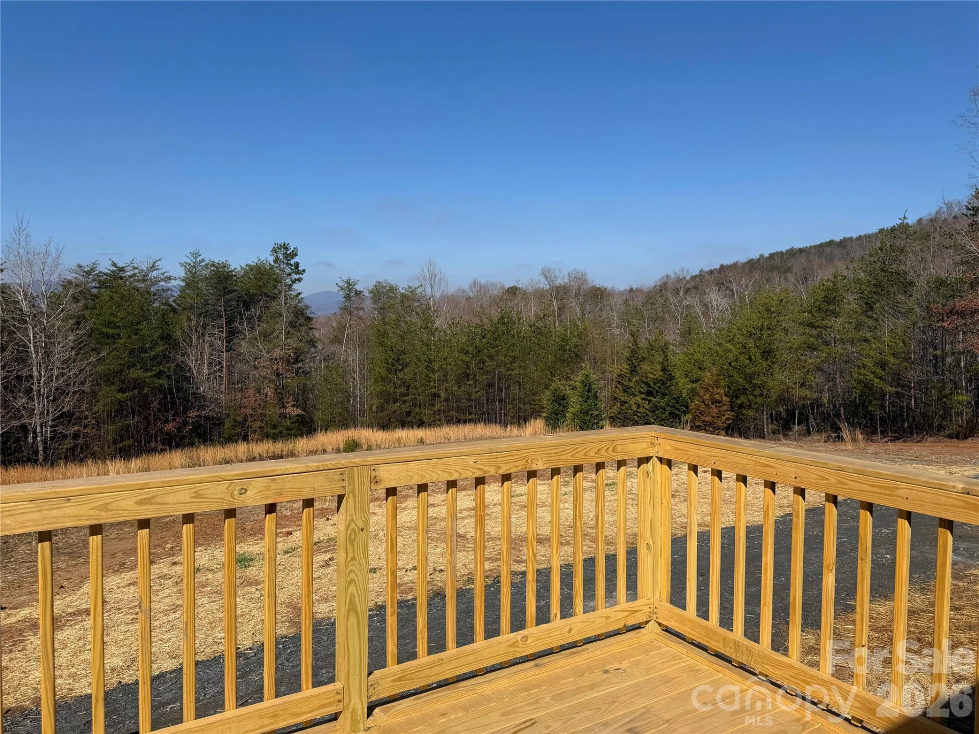 190 Noahs World Lane - Photo 5