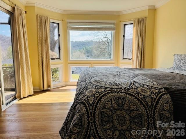 121 Burning Tree Lane #121 - Photo 19