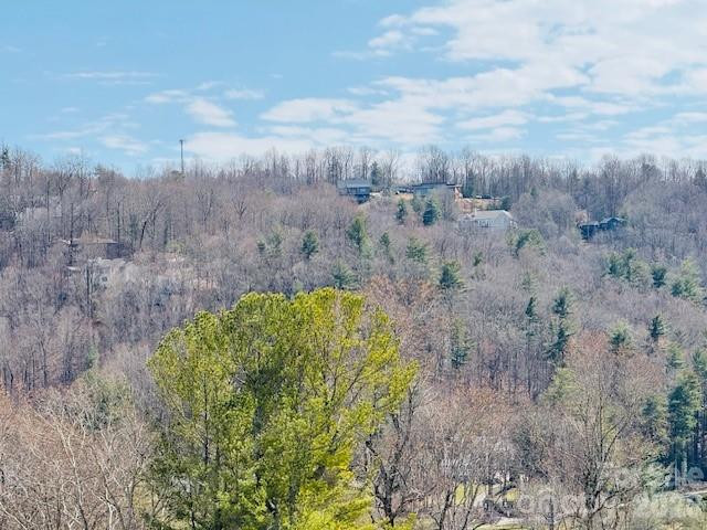 121 Burning Tree Lane #121 - Photo 31