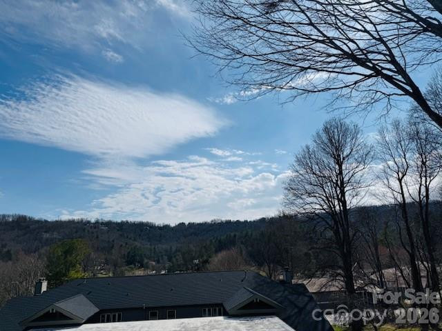 121 Burning Tree Lane #121 - Photo 32