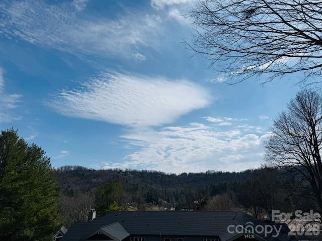 121 Burning Tree Lane #121 - Photo 33