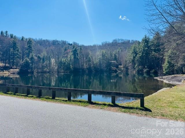 121 Burning Tree Lane #121 - Photo 34