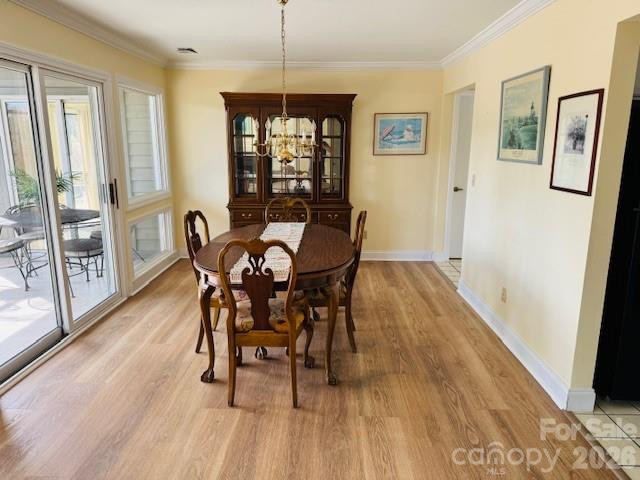 121 Burning Tree Lane #121 - Photo 5