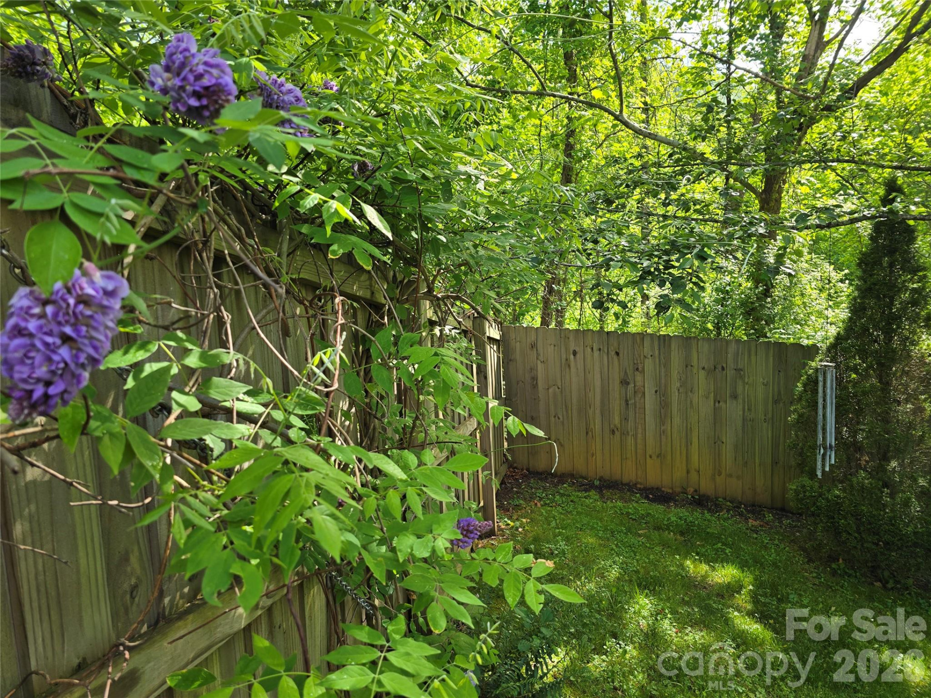 73 Dalya Road - Photo 17