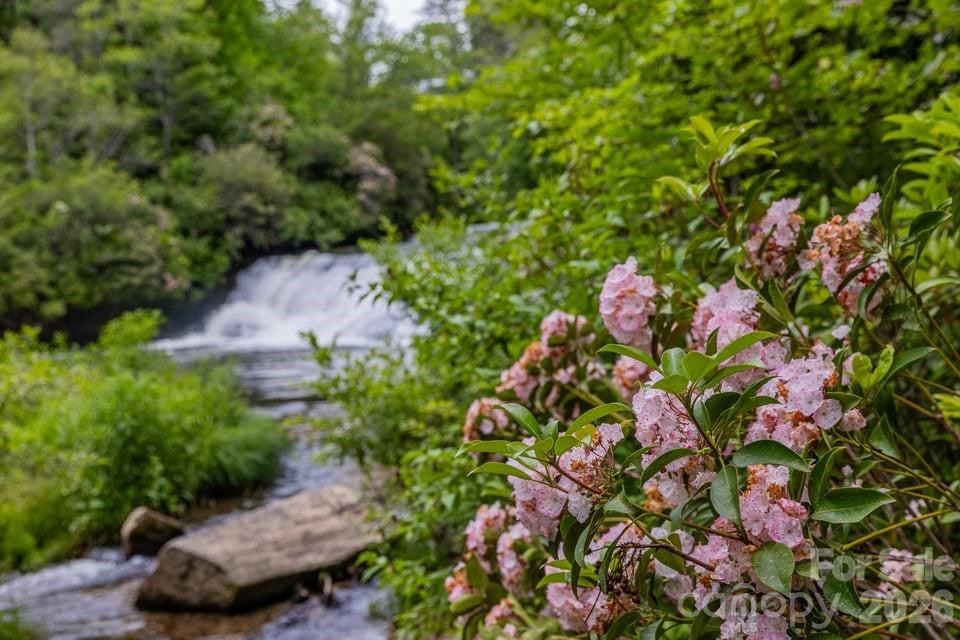 940 Winding Creek Road - Photo 44