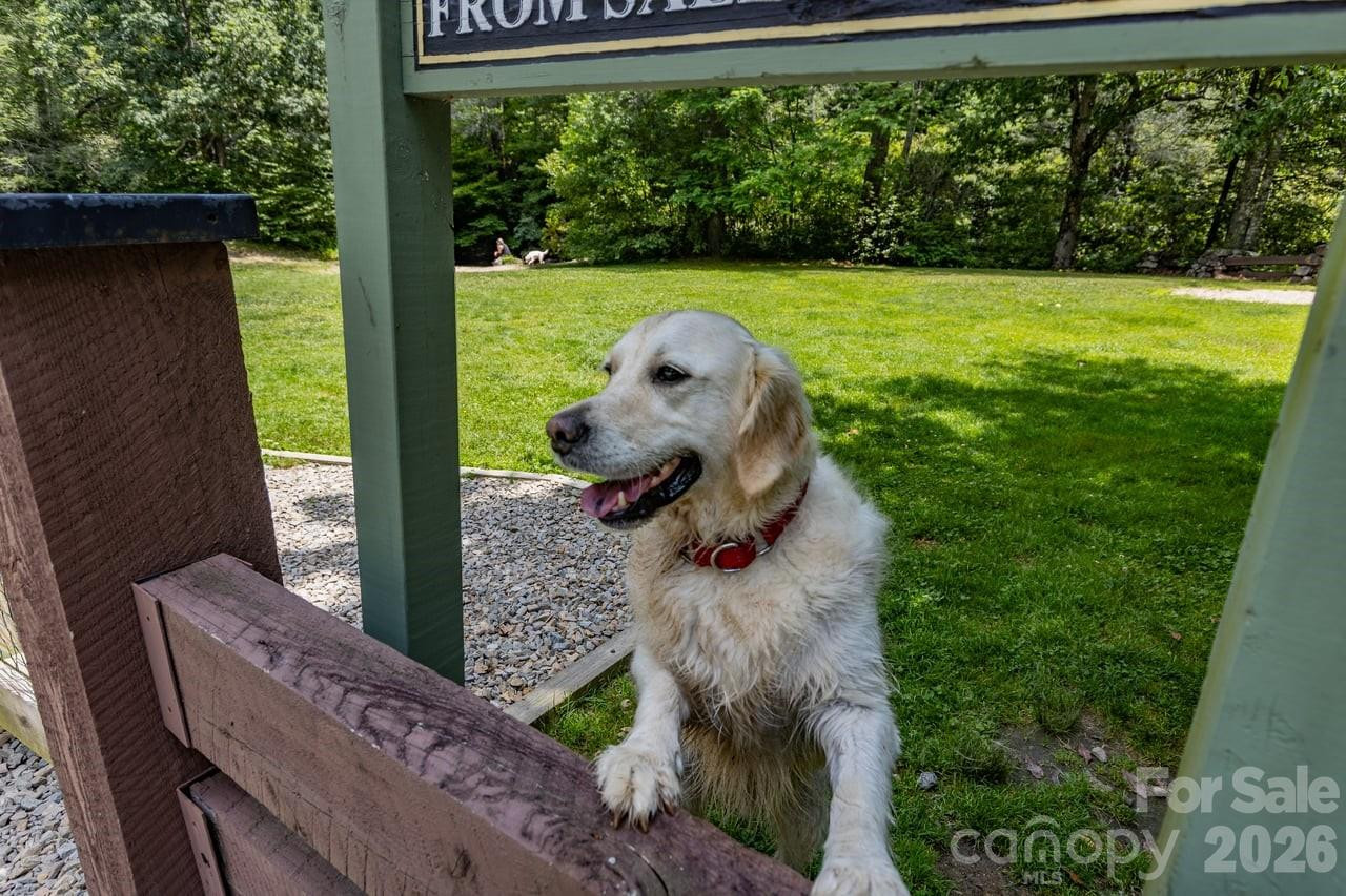 940 Winding Creek Road - Photo 48