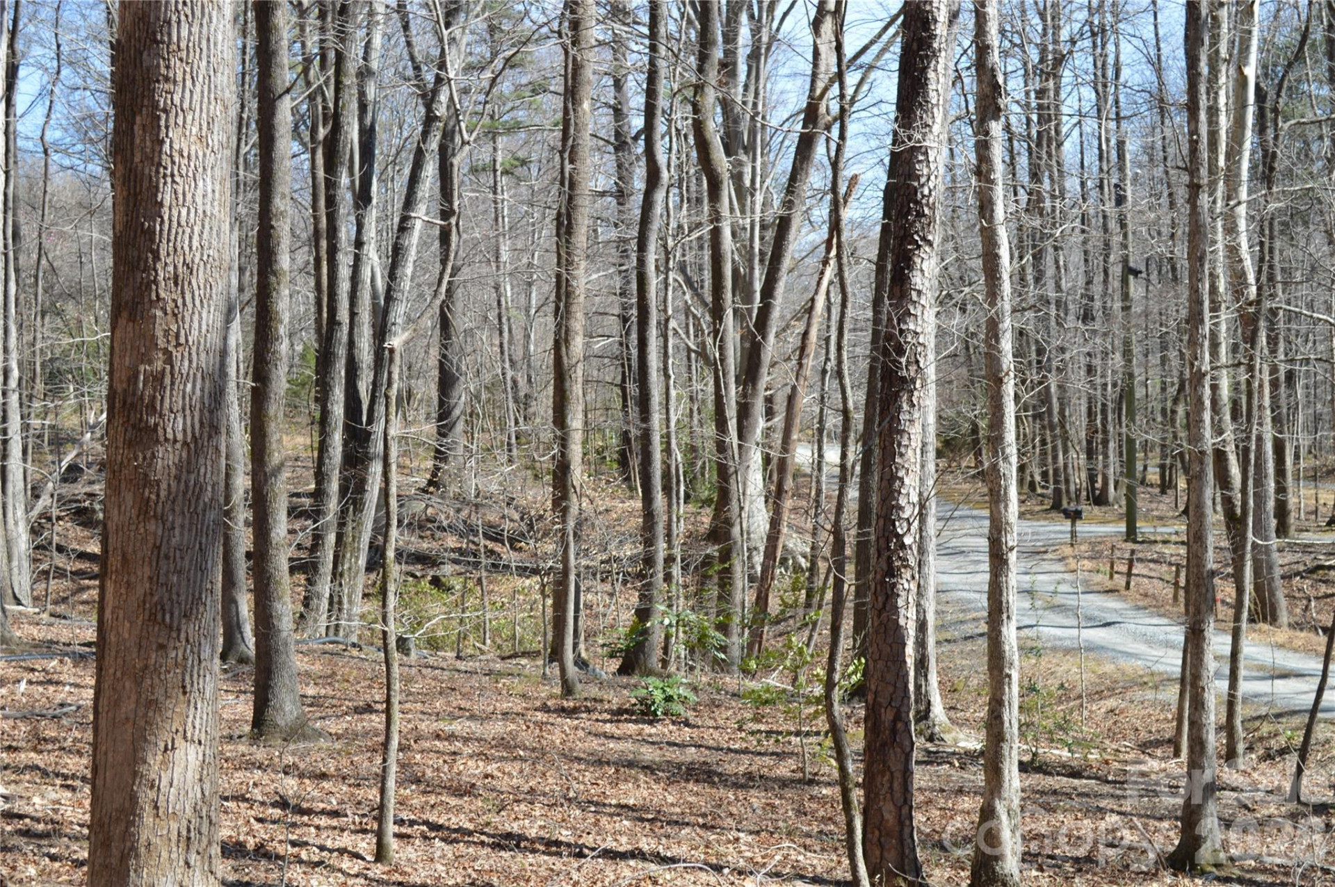 00 Shadow Creek Lane - Photo 13