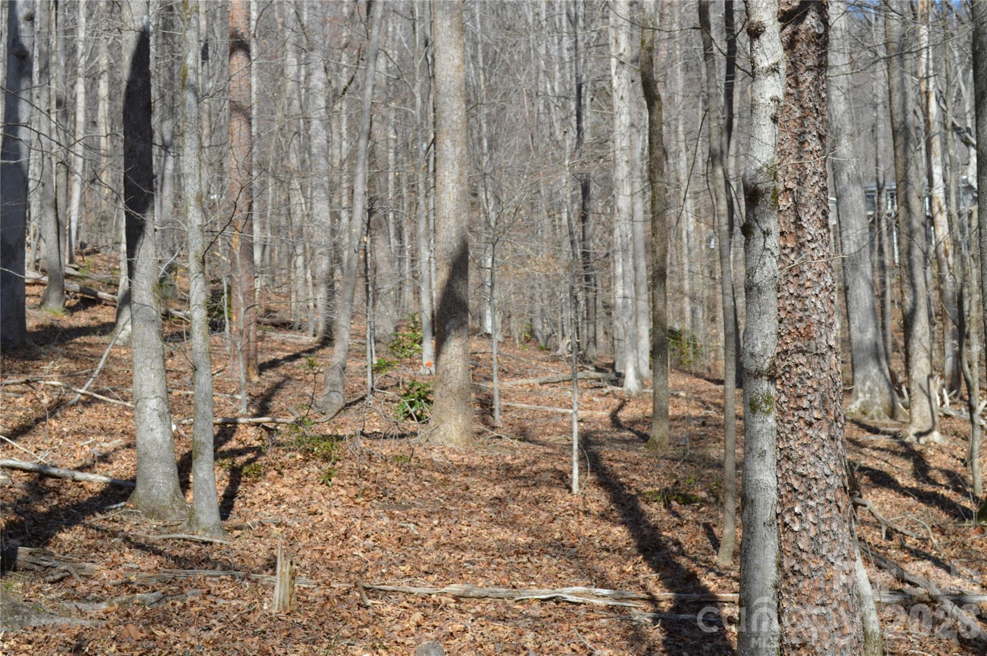 00 Shadow Creek Lane - Photo 15