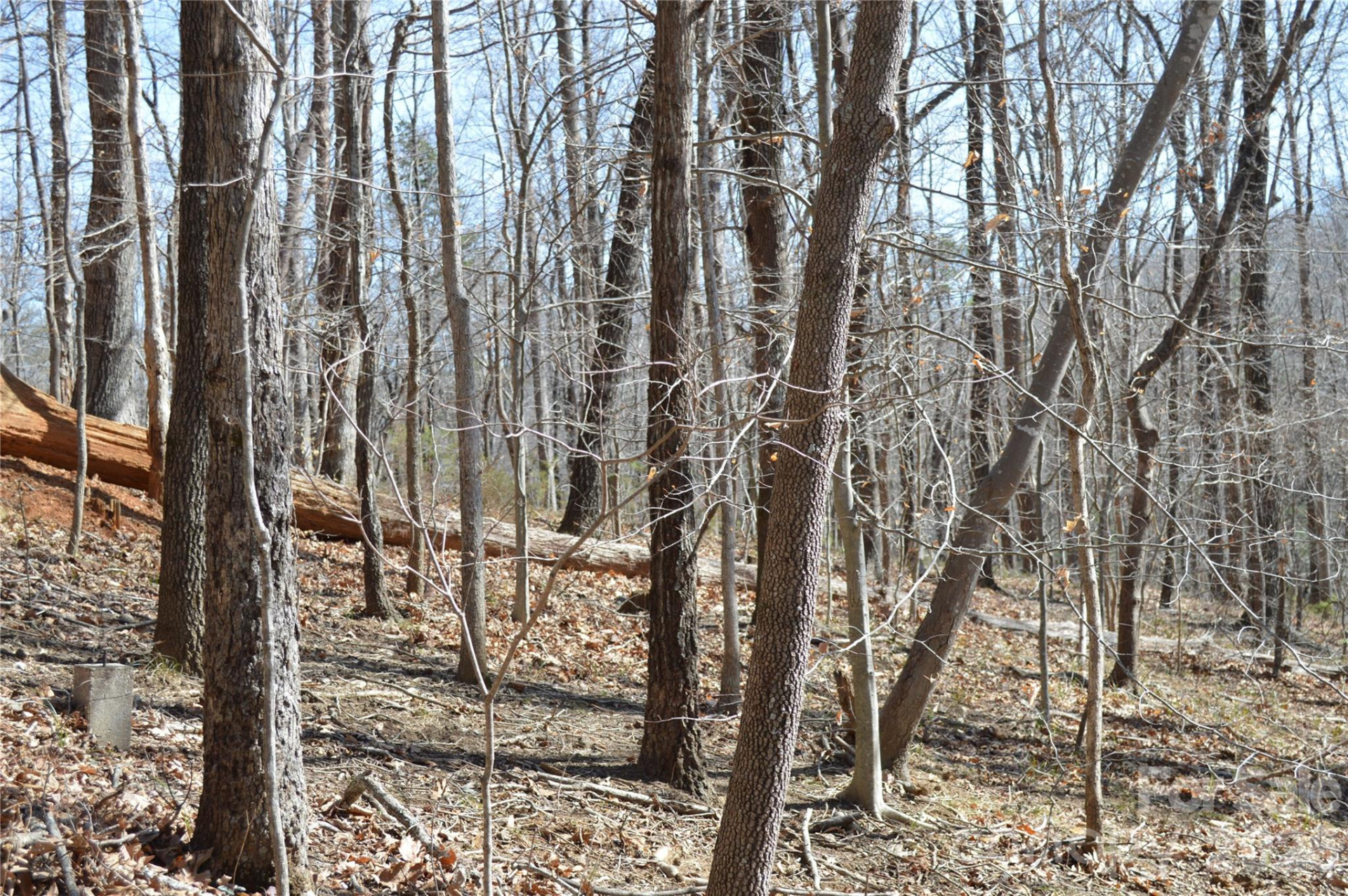 00 Shadow Creek Lane - Photo 17