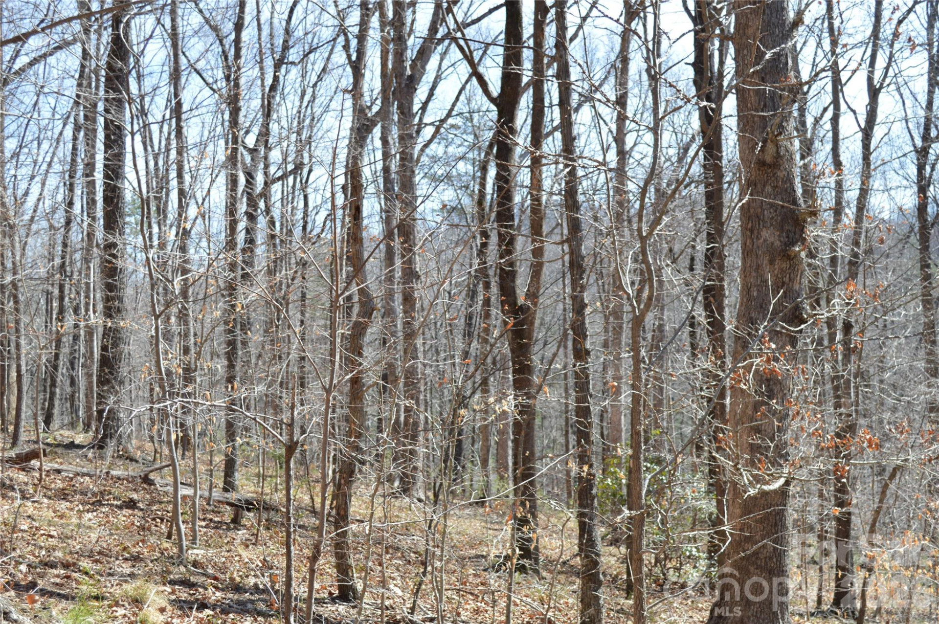 00 Shadow Creek Lane - Photo 18