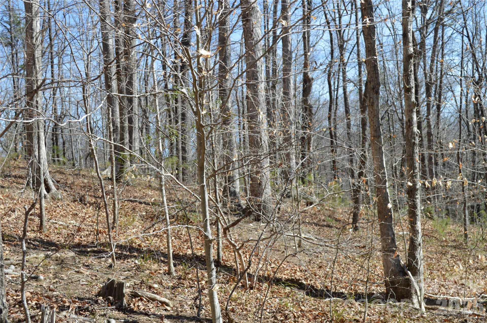 00 Shadow Creek Lane - Photo 19