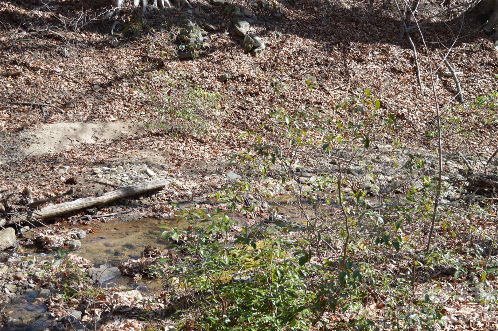 00 Shadow Creek Lane - Photo 3