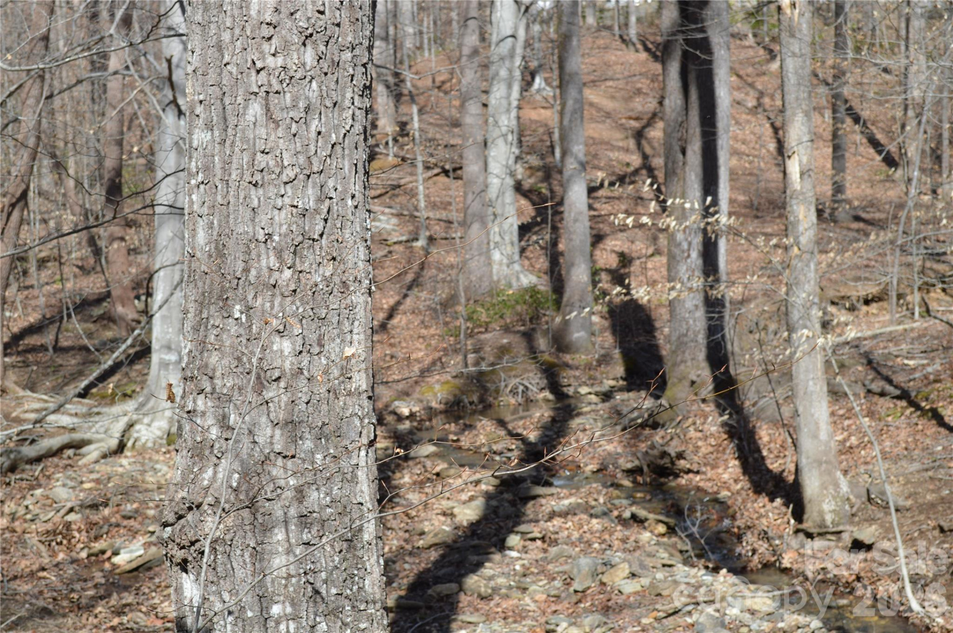 00 Shadow Creek Lane - Photo 4