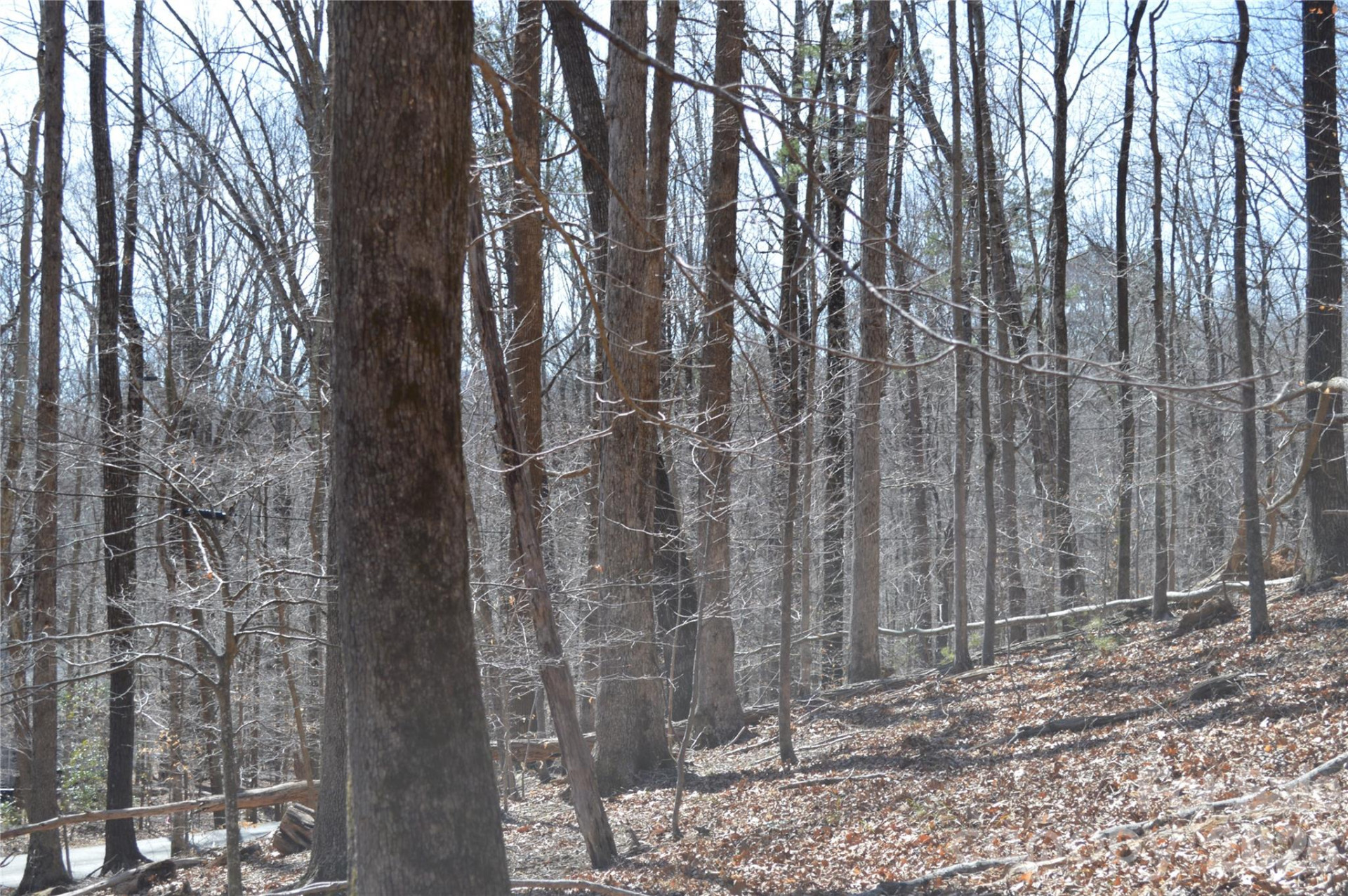 00 Shadow Creek Lane - Photo 5