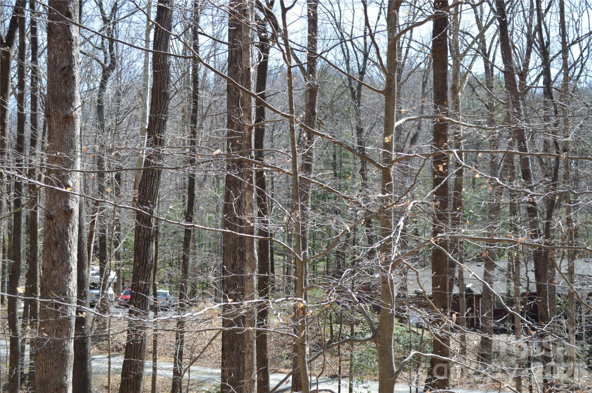 00 Shadow Creek Lane - Photo 6