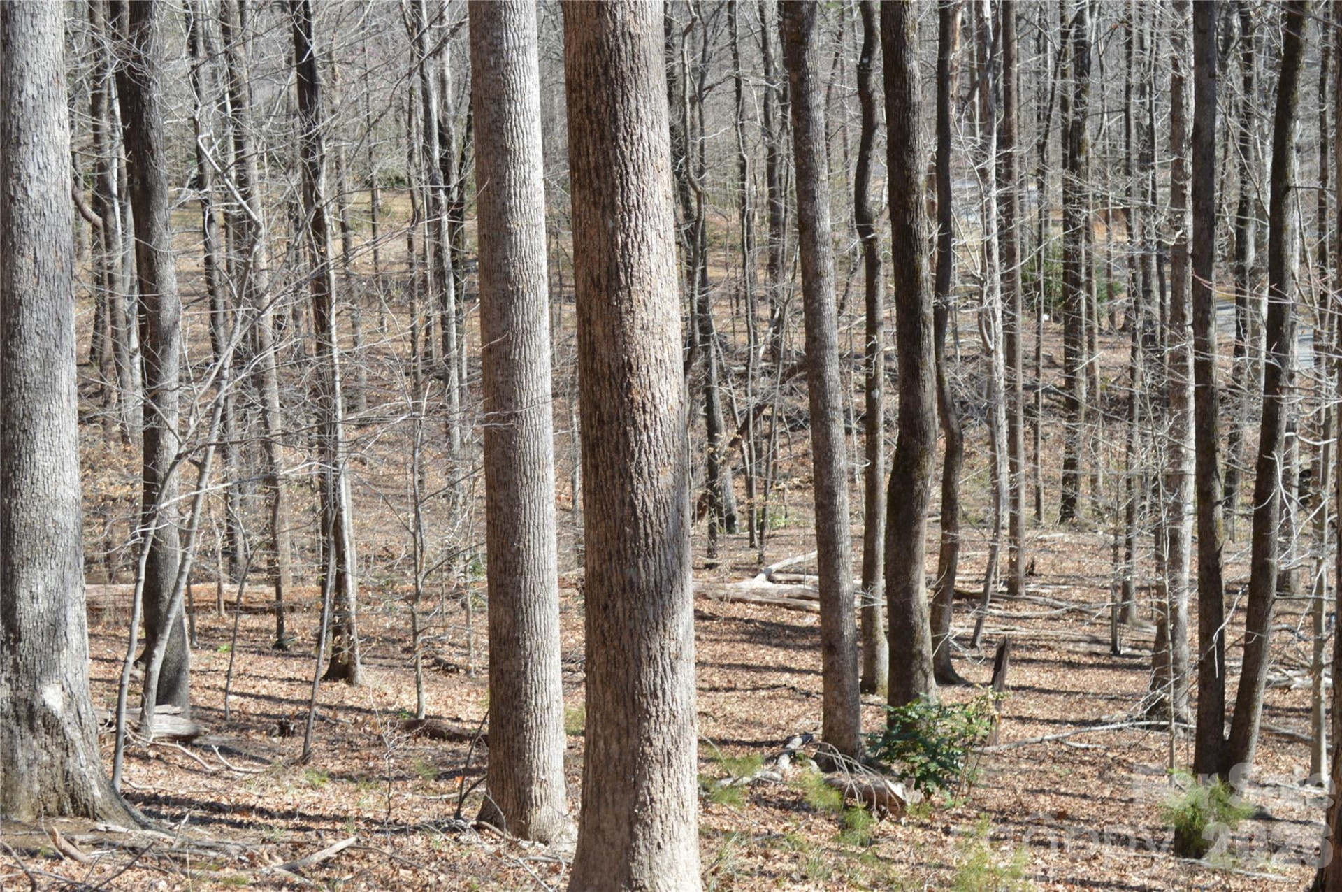 00 Shadow Creek Lane - Photo 8