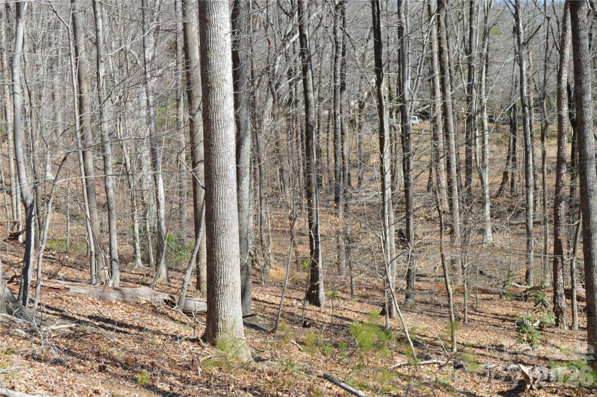 00 Shadow Creek Lane - Photo 9