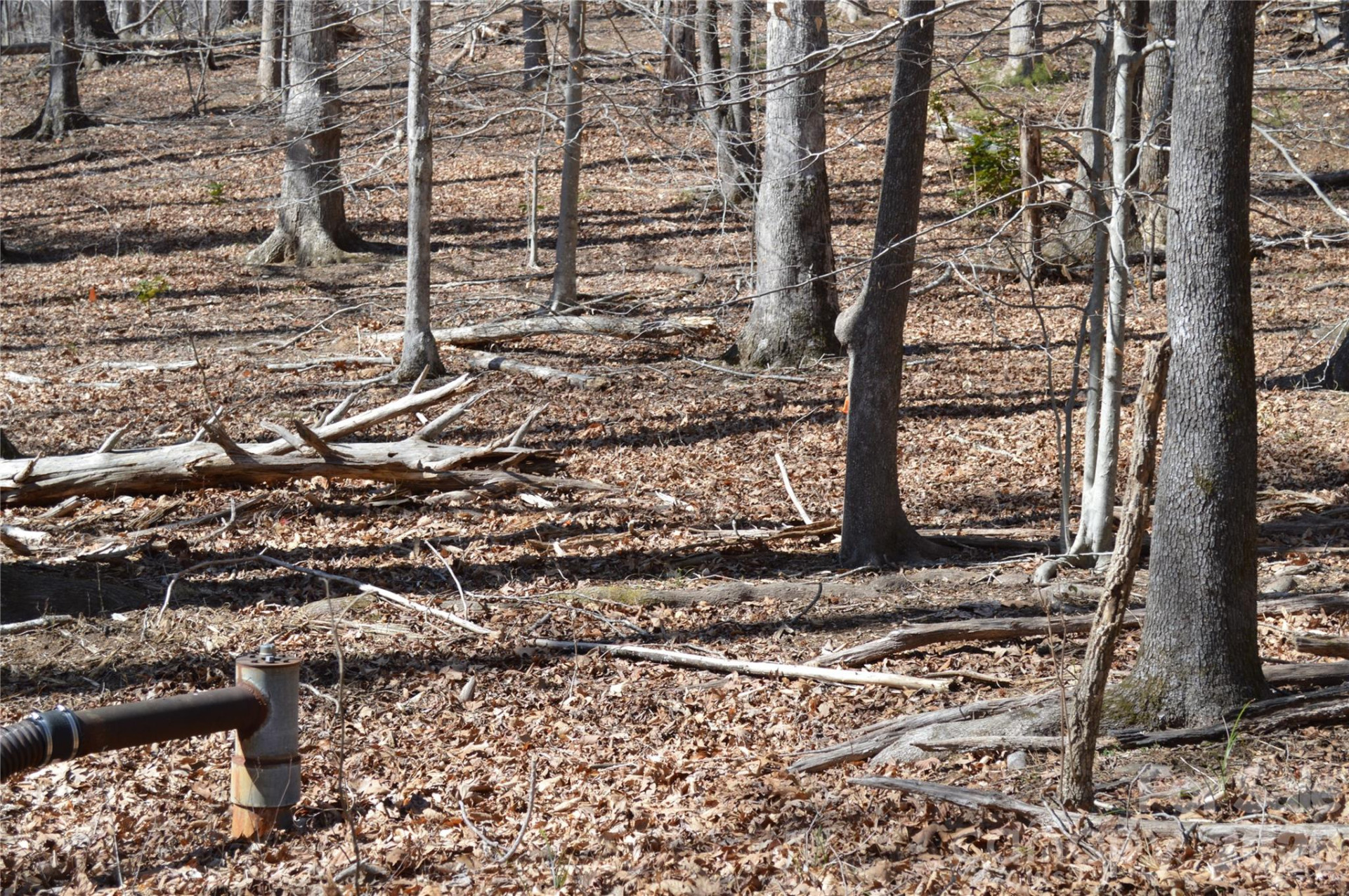 00 Shadow Creek Lane - Photo 10