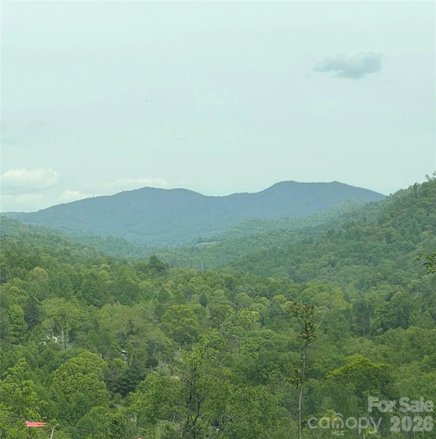 1306 Fork Mountain Road - Photo 32