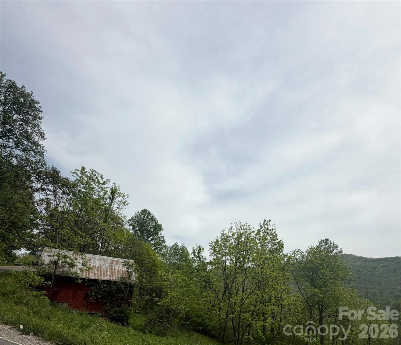 1306 Fork Mountain Road - Photo 33