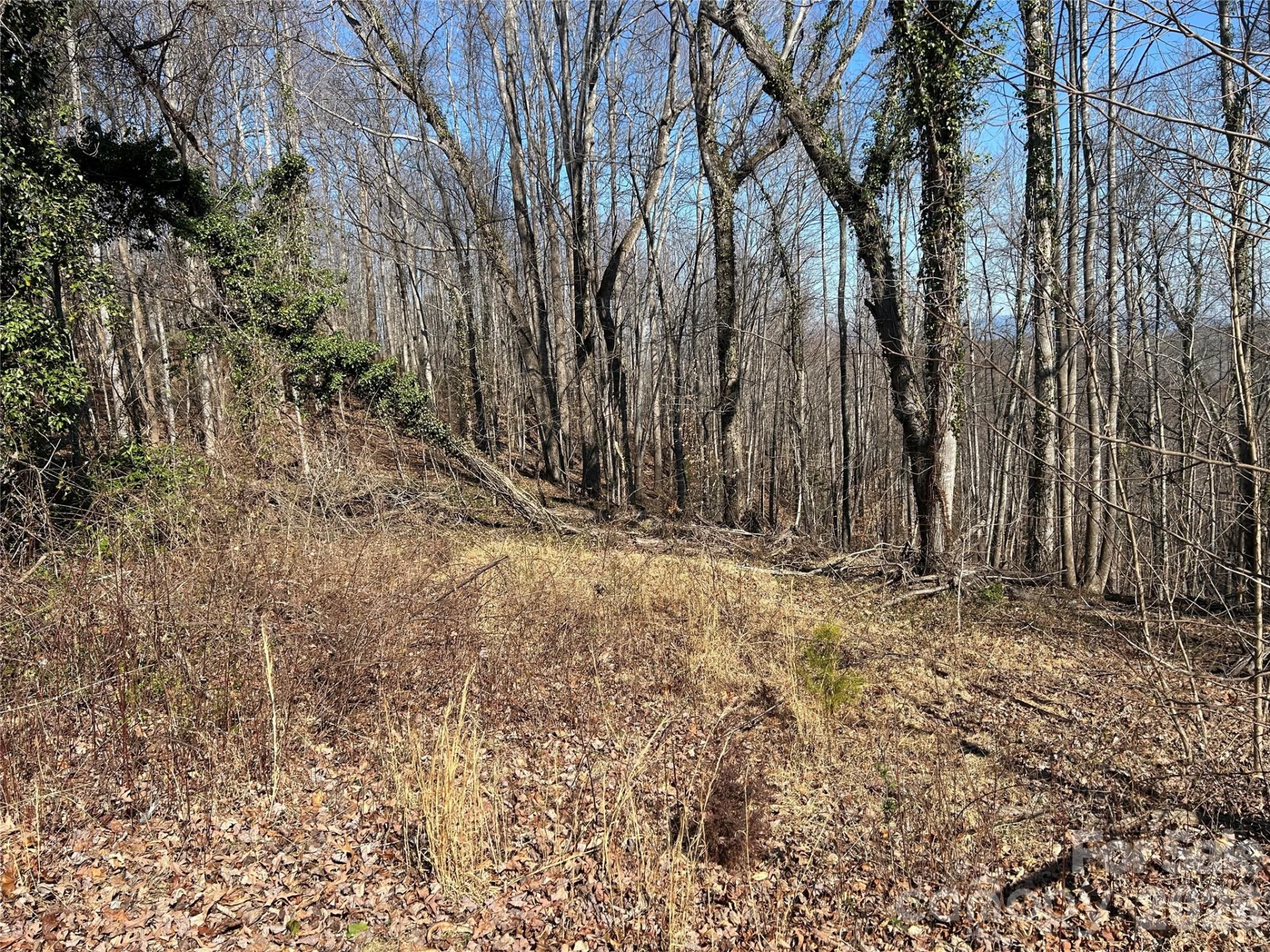 859 Stacy Hill Road - Photo 22