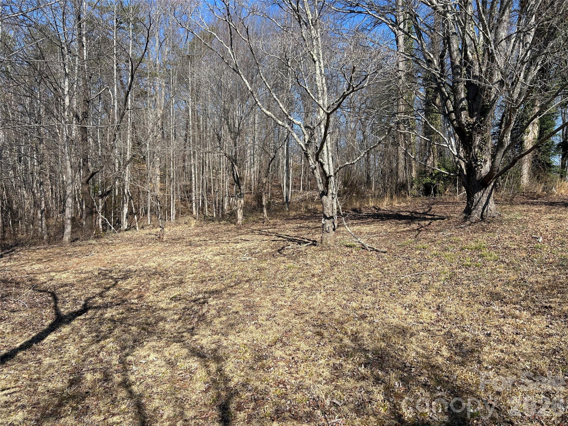 859 Stacy Hill Road - Photo 23
